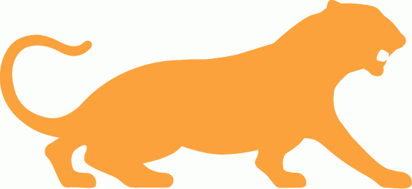 Princeton Tigers 1984-Pres Alternate Logo v2 diy fabric transfer